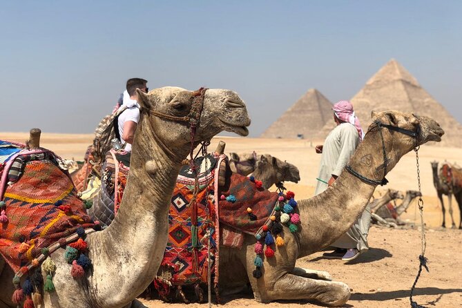 Amazing Day Tour to Cairo Highlights From Sharm ElSheikh By Plane - Booking Details