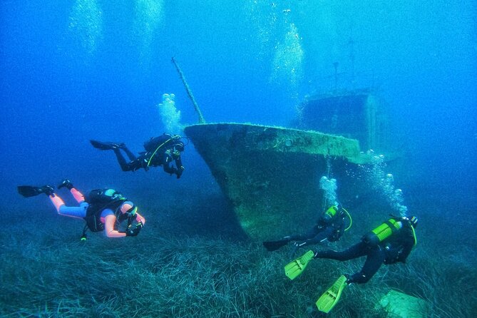 Amazing Diving at the Shipwreck - Good To Know