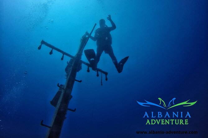 Amazing Diving at the Shipwreck - Witness Marine Life Up Close