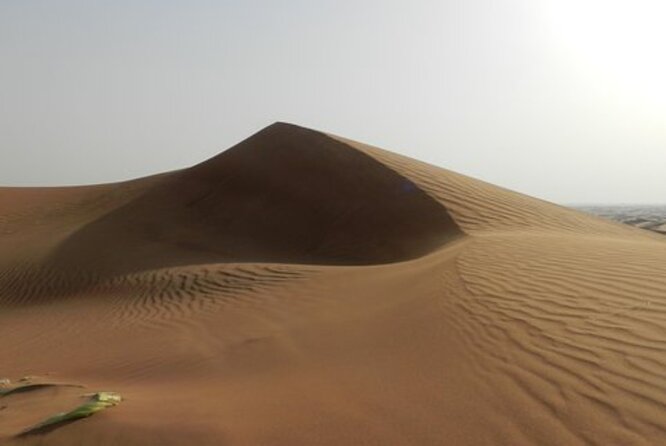 Amazing Dubai Beautiful Desert by Balloon With Falcon Show - The Sum Up