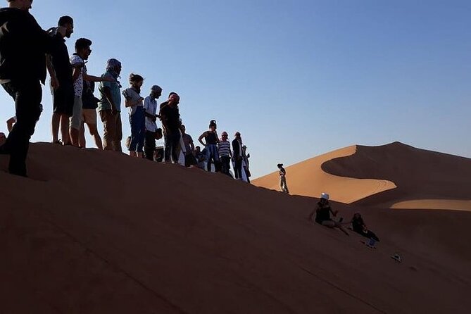 Amazing Dubai Desert Safari With BBQ Dinner - The Sum Up