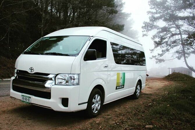 Amazing experience in the mountain of San Jose del Pacifico - FAQ