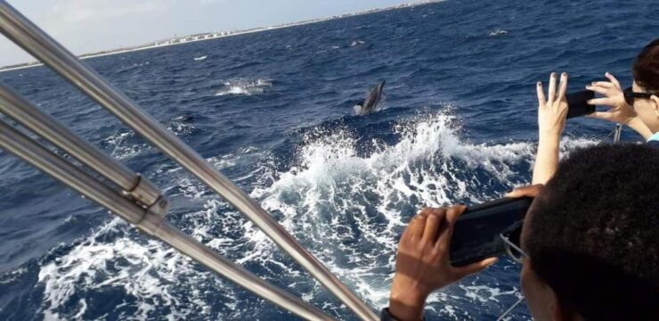 Amazing Full Day Boat Rental - Sal Island, Cape Verde - Good To Know