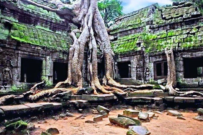 Amazing full day TUKTUK tour - Good To Know