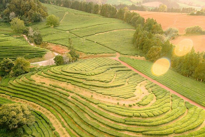 Amazing Furnas, Volcano, Lakes and Tea Plantation - Enjoy Pineapple Tasting