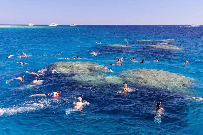 Amazing Giftun Island Snorkeling Trip in Hurghada - Lowest Price Guarantee