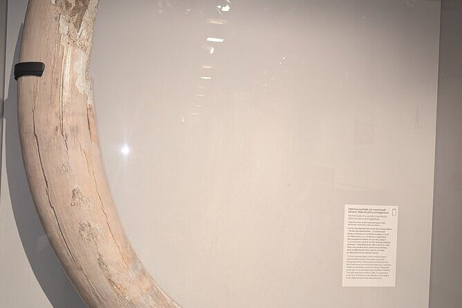 Amazing guided Notre dame and Ile de la cité tour with crypt - An Authentic Tour of Notre Dame and Île de la Cité