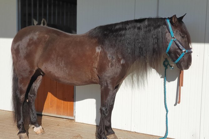 Amazing Hacks You Never Forget - Insider Tips for Best Deals