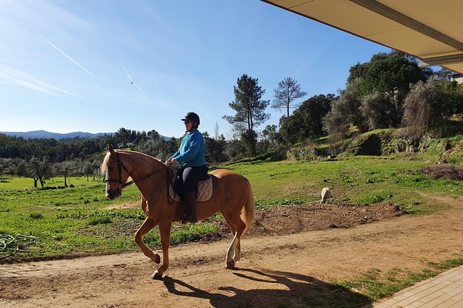 Amazing Hacks You Never Forget - Packing Hacks for Smooth Travel