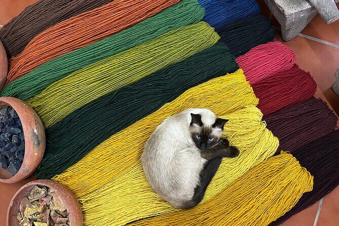 Amazing Hierve el Agua Private Tour - Textile Workshop in Teotitlán del Valle
