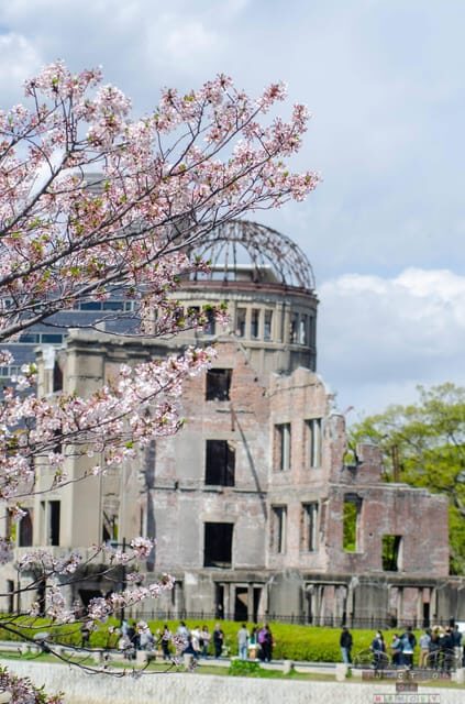 Amazing Hiroshima: Private City Tour with a Local Guide - The Breakdown: What You Can Expect at Each Stop