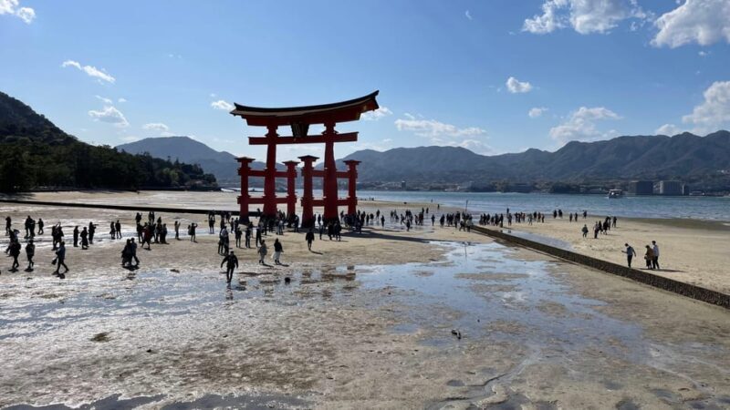 Amazing Hiroshima: Private City Tour with a Local Guide - Final Thoughts