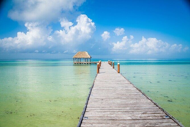 Amazing Isla Holbox Tour Departure from Playa del Carmen - Who Will Love This Tour?