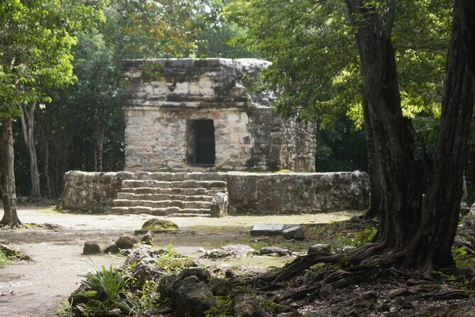 Amazing Jeep Tour Visit Punta Sur Park and San Gervasio Ruins - FAQ