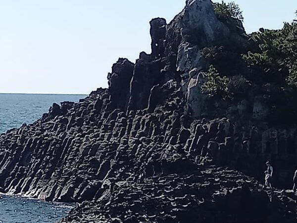 Amazing Jeju Volcano Island, Korea - Flexable Taxi Tour - Tips for a Memorable Experience