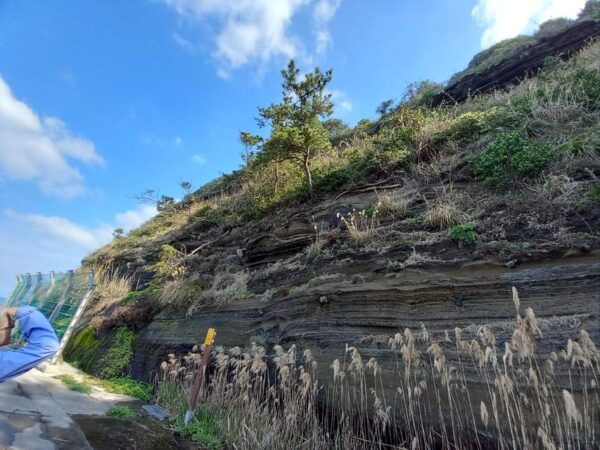 Amazing Jeju Volcano Island, Korea - Flexable Taxi Tour - Questions You May Have