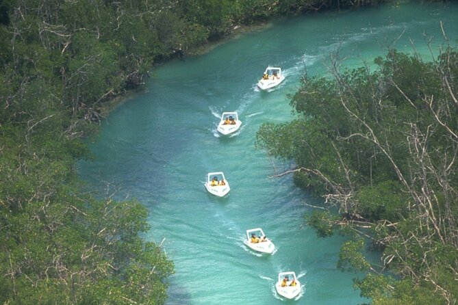 Amazing Jungle Tour Adventure Speed Boat in Cancun - Tour Details