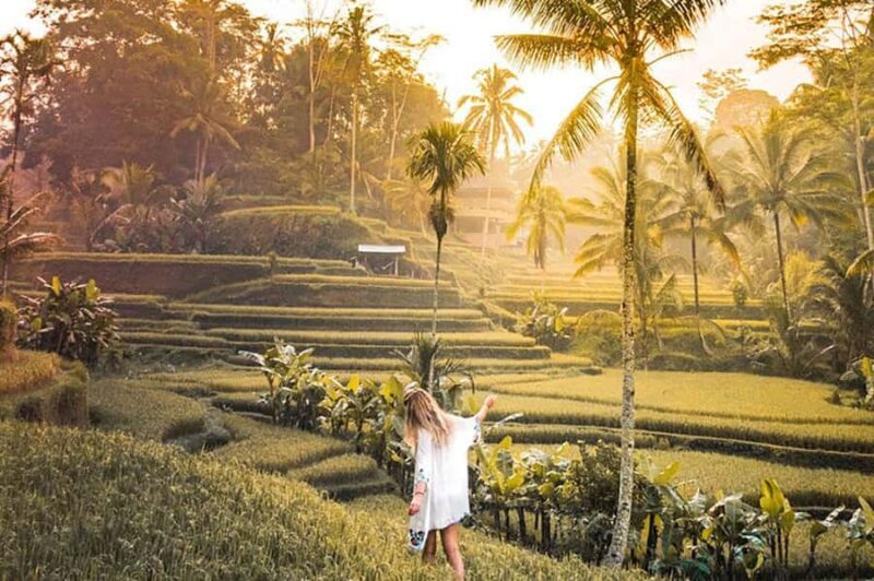Amazing Kintamani Ubud Tour with Overlook Volcano View - Practical Details: What to Expect