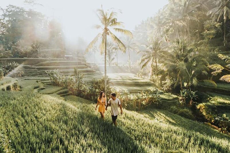 Amazing Kintamani Ubud Tour with Overlook Volcano View - An In-Depth Look at the Itinerary