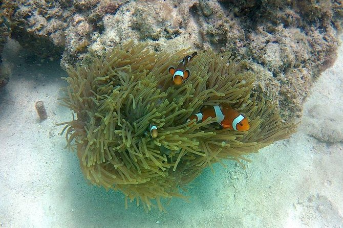 Amazing Krabi 7 Islands One Day Snorkeling Tour By Big Longtail Boat - Traveler Photos
