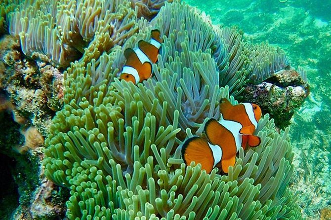 Amazing Krabi 7 Islands One Day Snorkeling Tour By Big Longtail Boat - The Sum Up