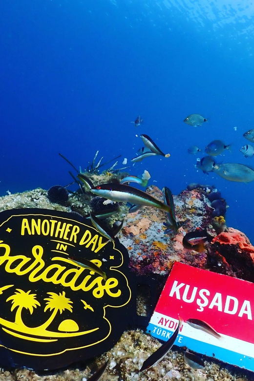 AMAZING KUSADASI SCUBA DIVING - Why This Tour Adds Value