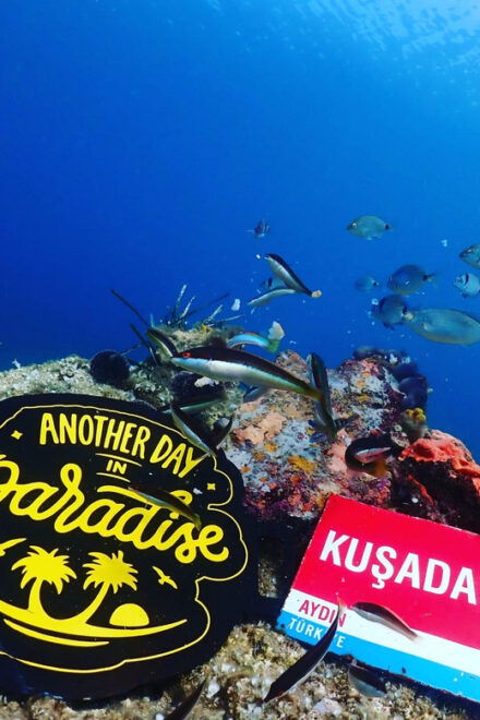 AMAZING KUSADASI SCUBA DIVING - Experience Highlights
