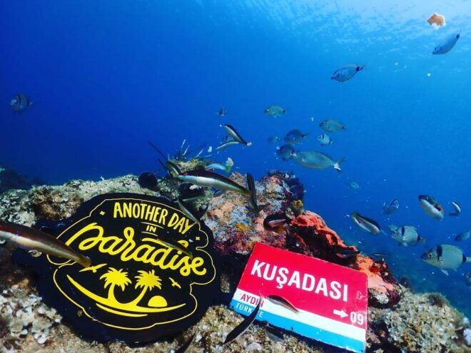 AMAZING KUSADASI SCUBA DIVING - Inclusions for Divers