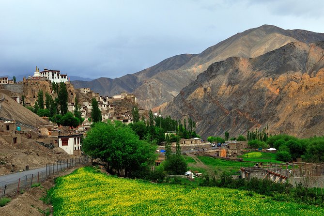 Amazing Ladakh - Experiencing Local Festivals in Ladakh