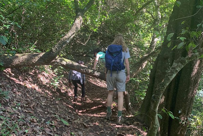 Amazing Lake Duluti Day Trip Experience - Frequently Asked Questions