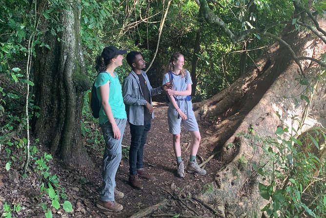 Amazing Lake Duluti Day Trip Experience - The Sum Up