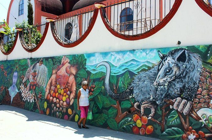 Amazing Mountain Coffee Private Experience - Final Thoughts