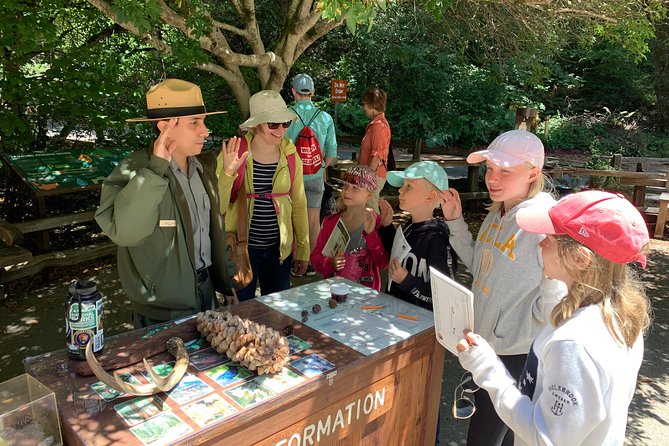 Amazing Muir Woods and Sausalito Tour - Tour Pricing and Booking Details