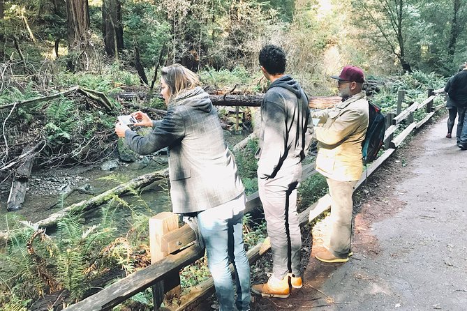 Amazing Muir Woods and Sausalito Tour - Quick Stop at Golden Gate Bridge Vista Point
