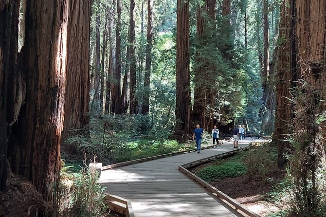 Amazing Muir Woods and Sausalito Tour - Cancellation Policy and Reviews