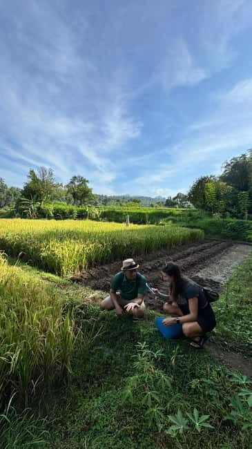 Amazing Murpeji Village West Lombok : Panoramic Walking Tour - Pricing and Value