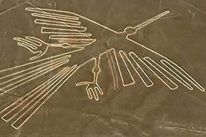 Amazing Nazca Lines & Sandboarding at Huacachina From Lima! - The Fascinating Nazca Lines