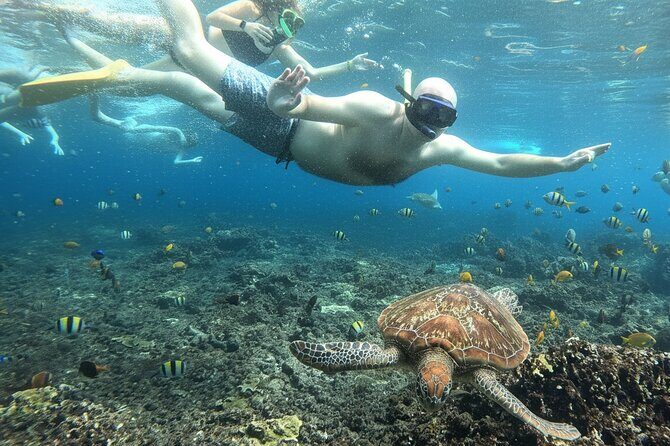 Amazing Nusa Penida Snorkeling Experience - Good To Know