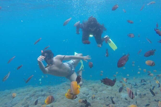 Amazing Nusa Penida Snorkeling Experience - What’s Included and What’s Not