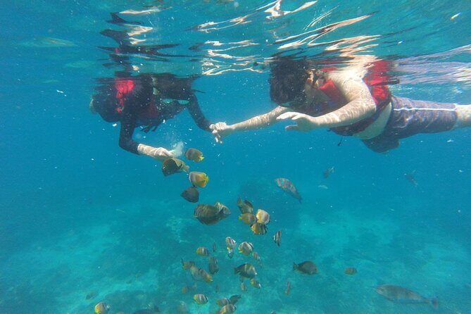 Amazing Nusa Penida Snorkeling Experience - Who Should Consider This Tour?
