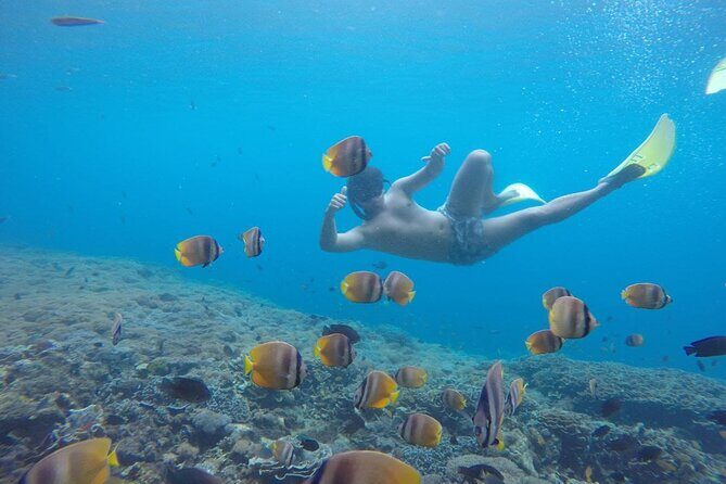 Amazing Nusa Penida Snorkeling Experience - Final Thoughts: Is It Worth It?