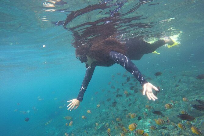 Amazing Nusa Penida Snorkeling Experience - FAQ