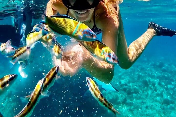 Amazing Private Boat Tour, up to 9 People. Tropea to Capovaticano - Terms & Conditions