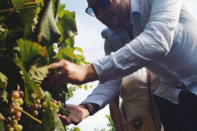 Amazing Private Etna Panoramic Tourwine Taste & Food Combination - Traveler Photos and Reviews