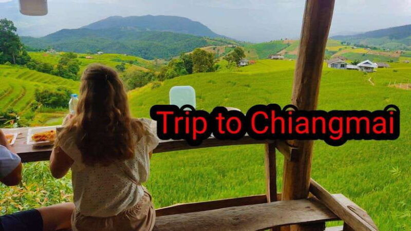 Amazing Rice-Fields Terraces of Ban Pa Pong Pieng. (Private) - Itinerary Highlights
