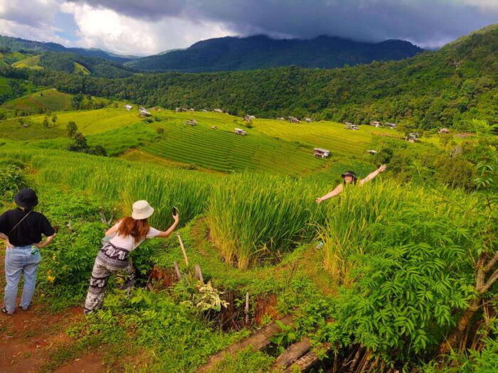 Amazing Rice-Fields Terraces of Ban Pa Pong Pieng. (Private) - Experiencing the Rice-Fields Terraces of Ban Pa Pong Pieng