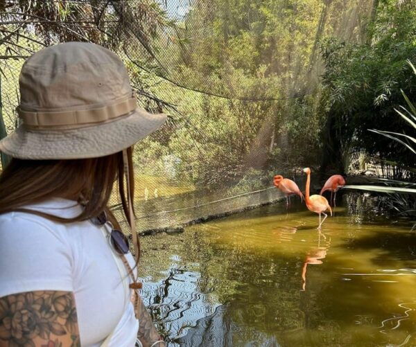 Amazing Safari at Teotihuacán - Customer Reviews