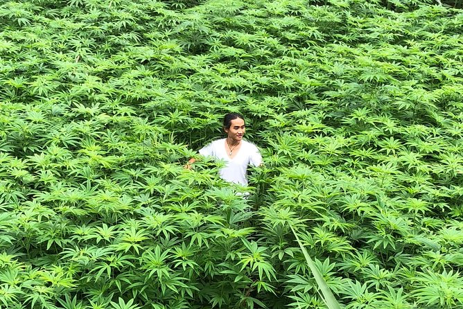 Amazing Sapa Motorbike 1 Full-Day Tour - Tour Inclusions and Additional Information