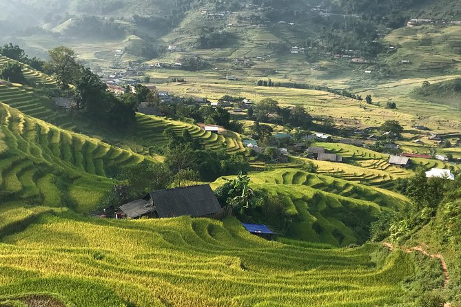 Amazing Sapa Motorbike 1 Full-Day Tour - Contact and Support Information