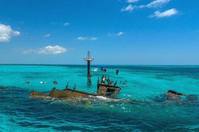 Amazing Snorkel Adventure! Round Transportation From Cancun - Good To Know